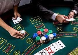7vip bet